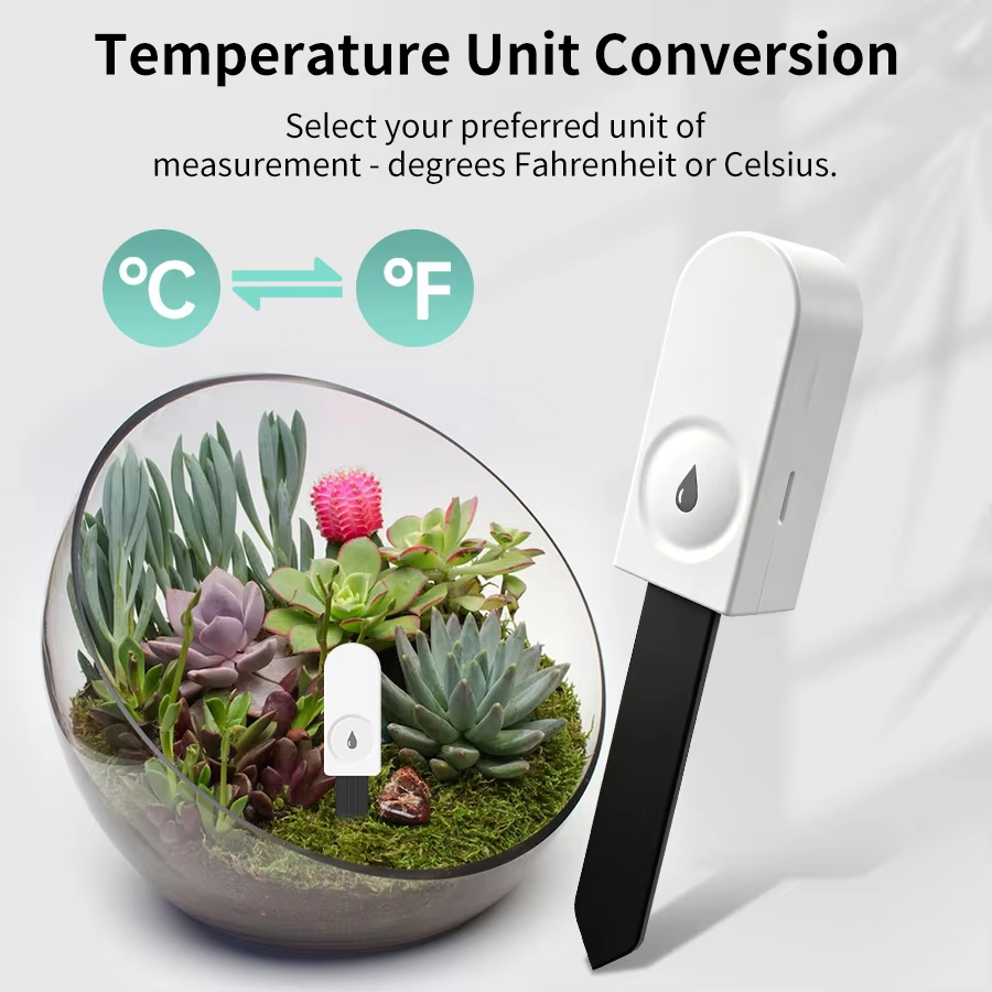 เครื่องวัดความชื้นในดิน Zigbee - Smart Garden Accessories บทวิจารณ์และราคา