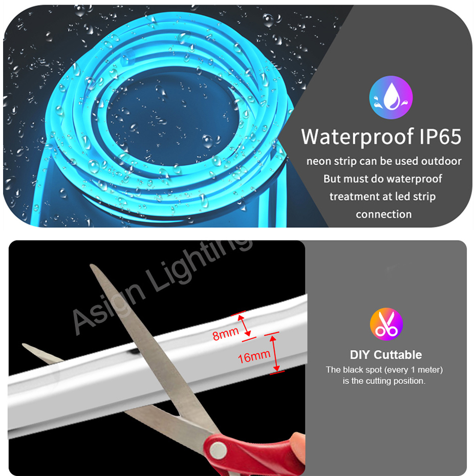 ไฟนีออน LED RGB อัจฉริยะ ปลั๊ก - Smart Garden Lights Uk บทวิจารณ์และราคา